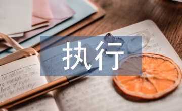 預算會計執行問題研究