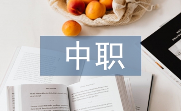 中職會計專業財經文員職業技能探析