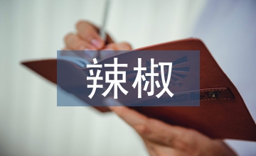有機(jī)辣椒的無(wú)土栽培