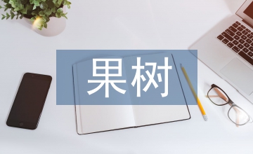 果樹植保科學技術工作淺談