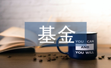 養(yǎng)老保險個人賬戶基金運營及監(jiān)管