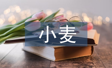 豬料中小麥的應用分析