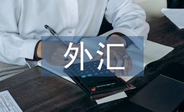 外匯經驗