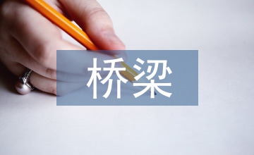 橋梁整體結(jié)構(gòu)施工技術(shù)論文