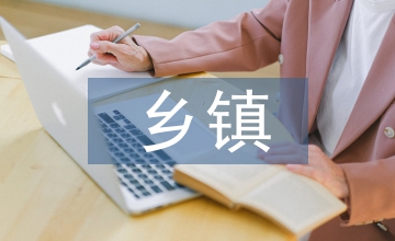 鄉鎮班子建設情況