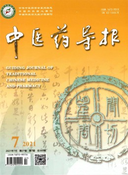 湖南中醫藥導報雜志