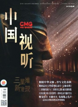 中國(guó)視聽(tīng)